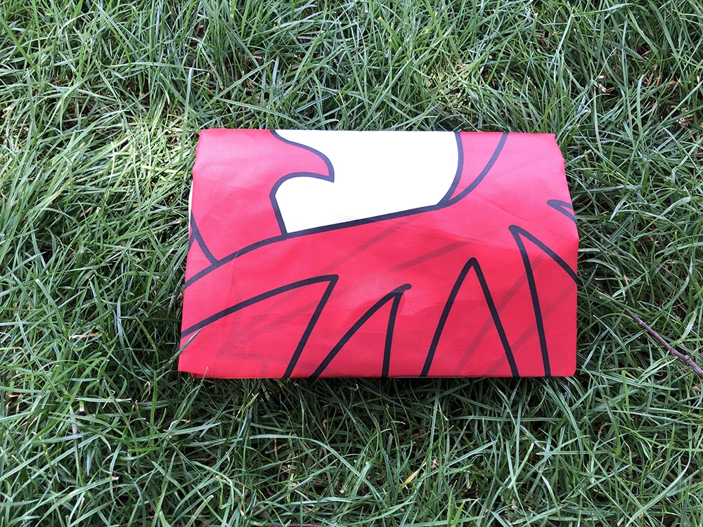 Флаг ТИКИ Флаг Уэльса 3x5 футов 90x150 см полиэстер Флаг Уэльса Вельш красный Дракон Союз Национальный флаг подвесной баннер для украшения Флаг ТИКИ Флаг Уэльса 3x5 футов 90x150 см полиэстер Флаг Уэльса Вельш красный Дракон Союз Национальный флаг подвесной баннер для украшения