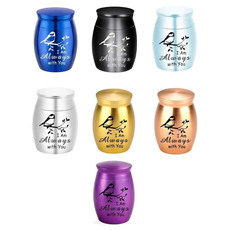 

Simple Casket Ashes Jar Vessel Ashes Casket for Pet Urn Carving Casket Memorial Small Jar Urn Container Dropship