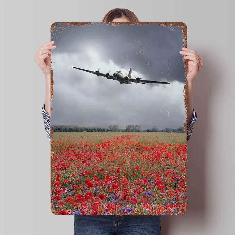 A Single B17 Bomber…