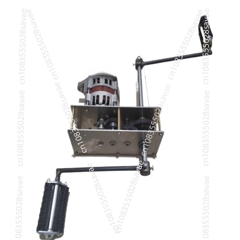 DC Pedal Generator Battery Charging AC Permanent Magnet Brushless High-power 12V 24V 2000W 220V 800W