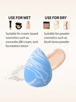 6Pcs Professional Makeup Sponge Set, Wet & Dry Dual‑Use Large Water‑Drop Makeup Puffs, Beauty Tools For Foundation And Concealer 6