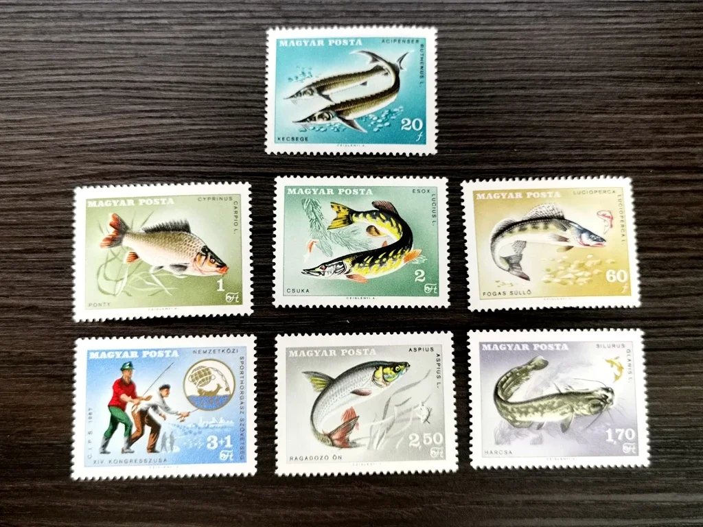 7Pcs/Set New Hungar…