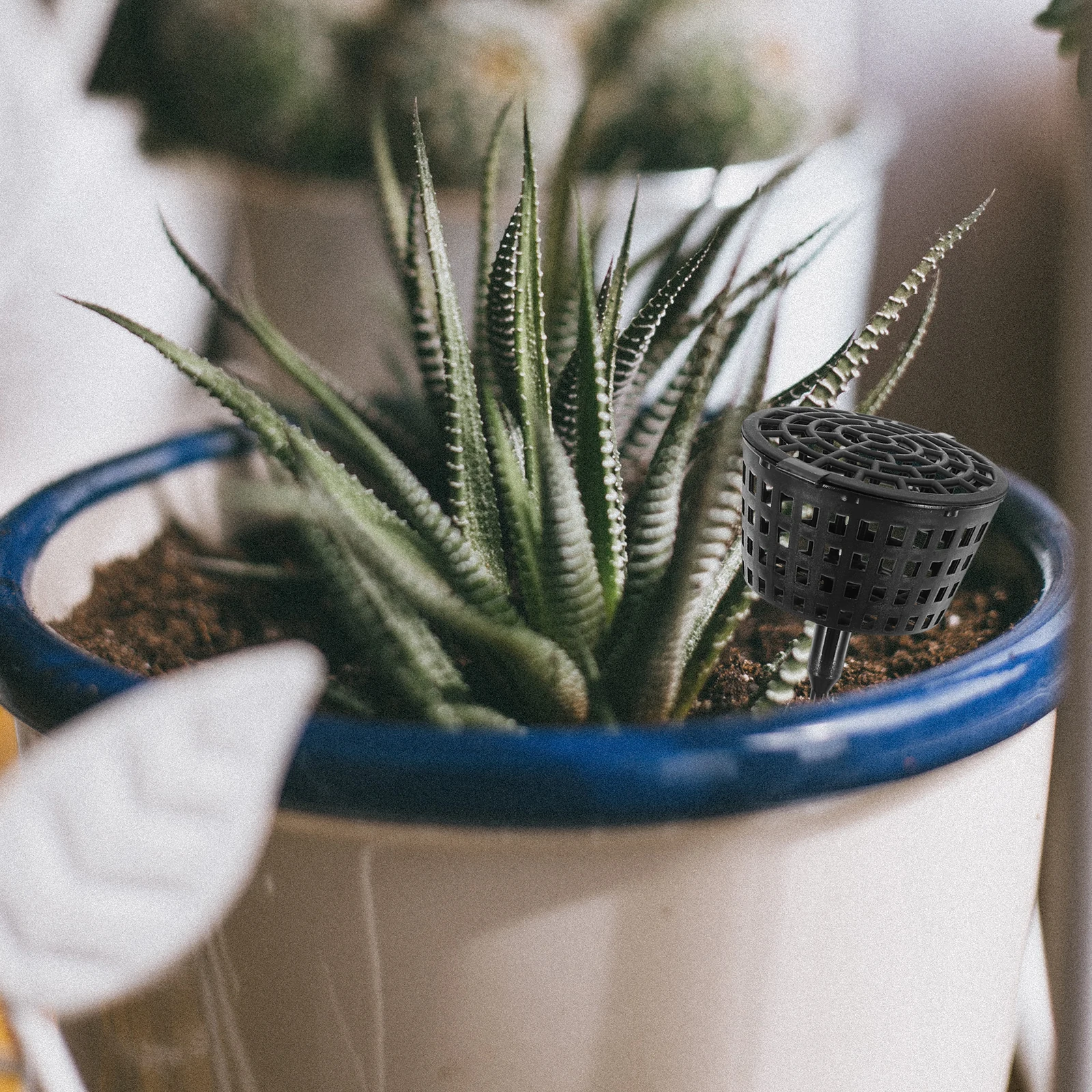 10 قطعة سلة الأسمدة البستنة حاوية بلاستيكية للنباتات الأوركيد بونساي سهلة إدراج استخدام التربة