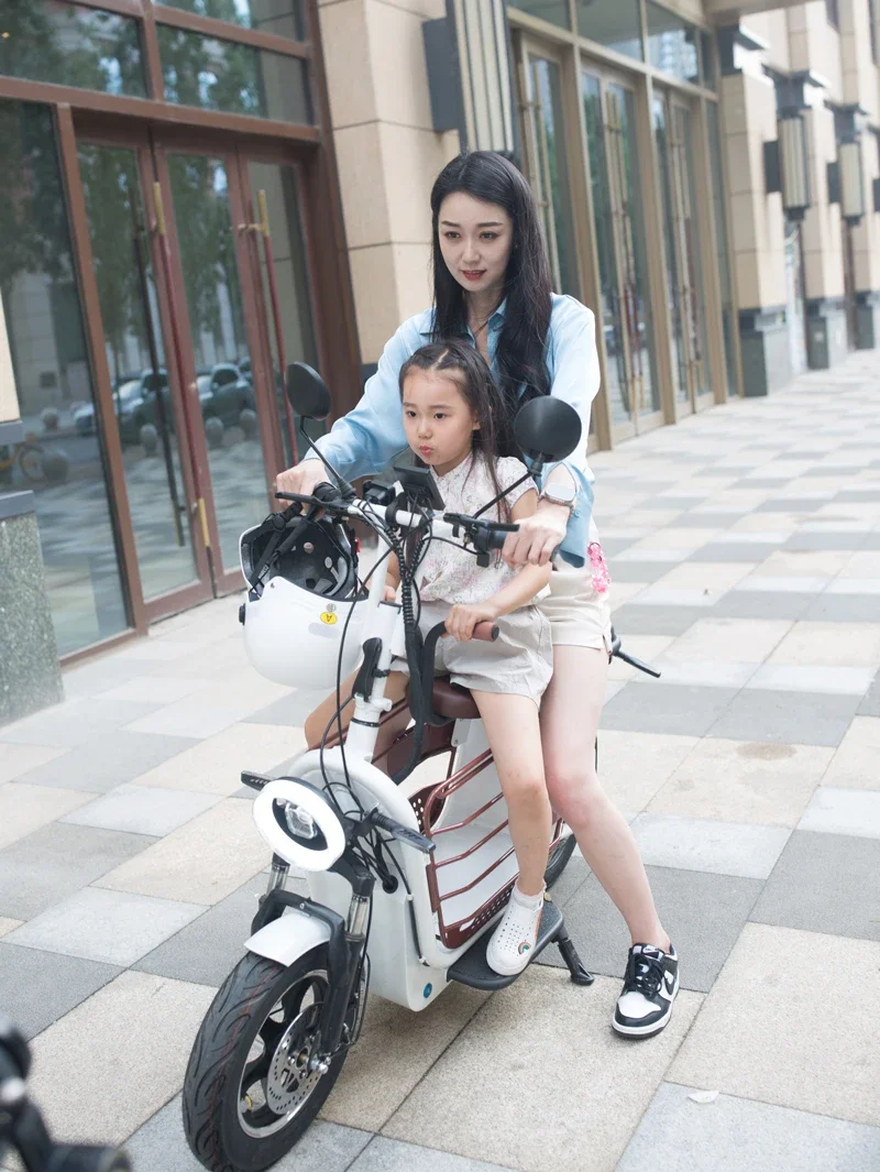 

YIDI NEW 14 Inch Electric Pet Scooter 500w 1000w Motor Hot Selling Electric Bike With Dog Carrier