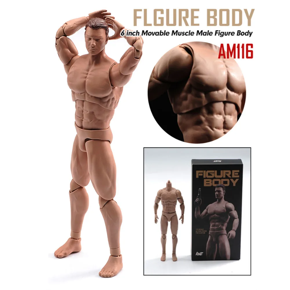 1/12 Schaal Mannelijke Actiefiguur Body Met Hoofd 6 ''Soldaat Muscale Sterk Figuur Pop Speelgoedmodel In Hoogte Verstelbaar