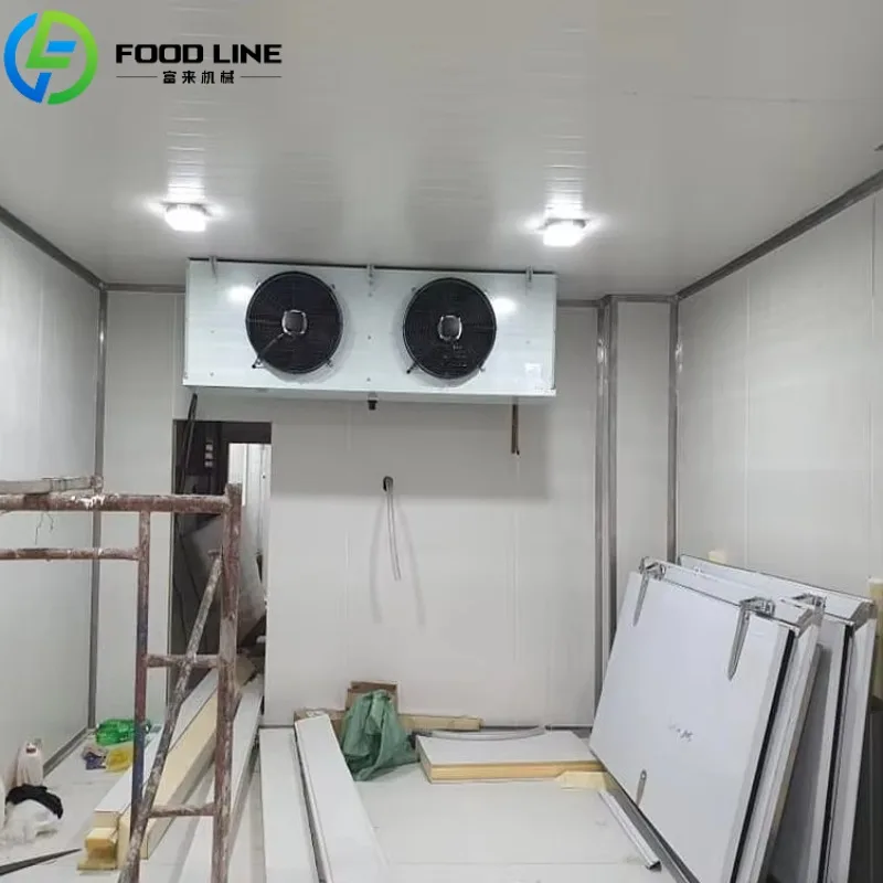 Custom Cold Storage Cool Room Freezer Refrigeration Unit Food Container Snacks Meat Cold Unit For Industrial Commercial