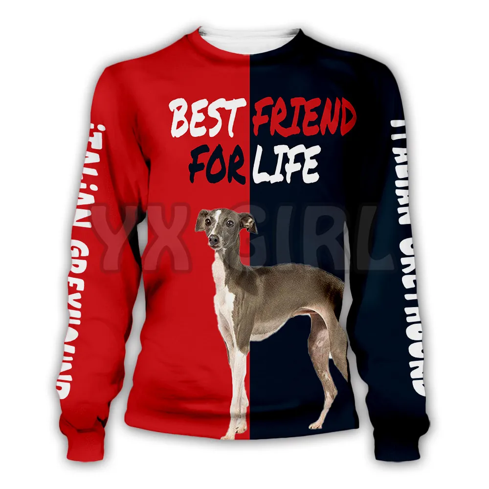 Rough Collie  3d Printed Sweatshirts Men For Women Pullovers Unisex Tops