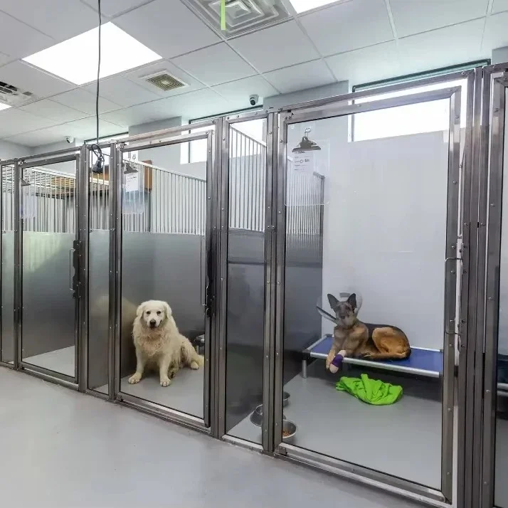 New Sales Pet boarding indoor glass door kennel custom stainless steel large walking nest running