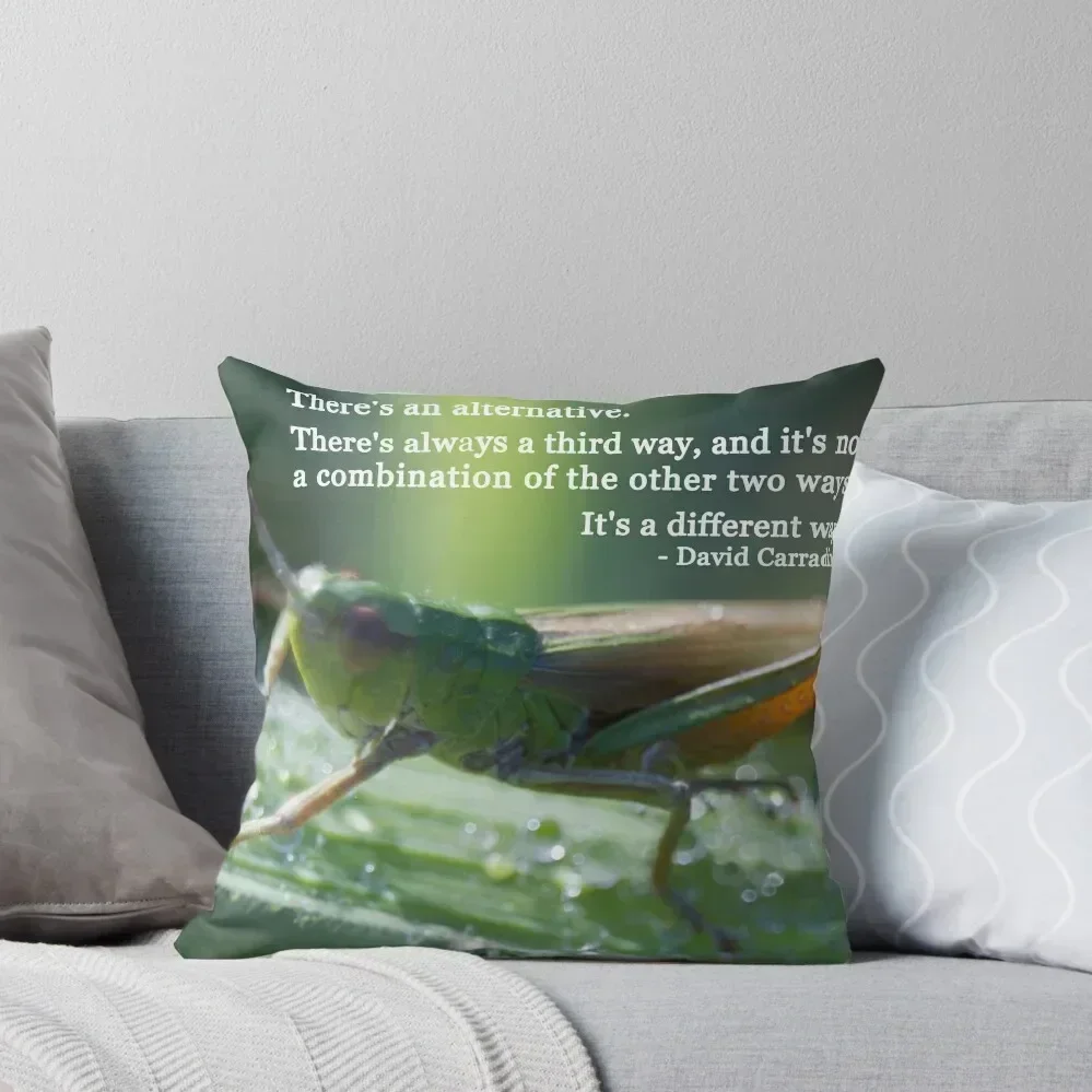 Ahhh grasshopper Throw Pillow Pillow Cases Embroidered Cushion Cover pillow