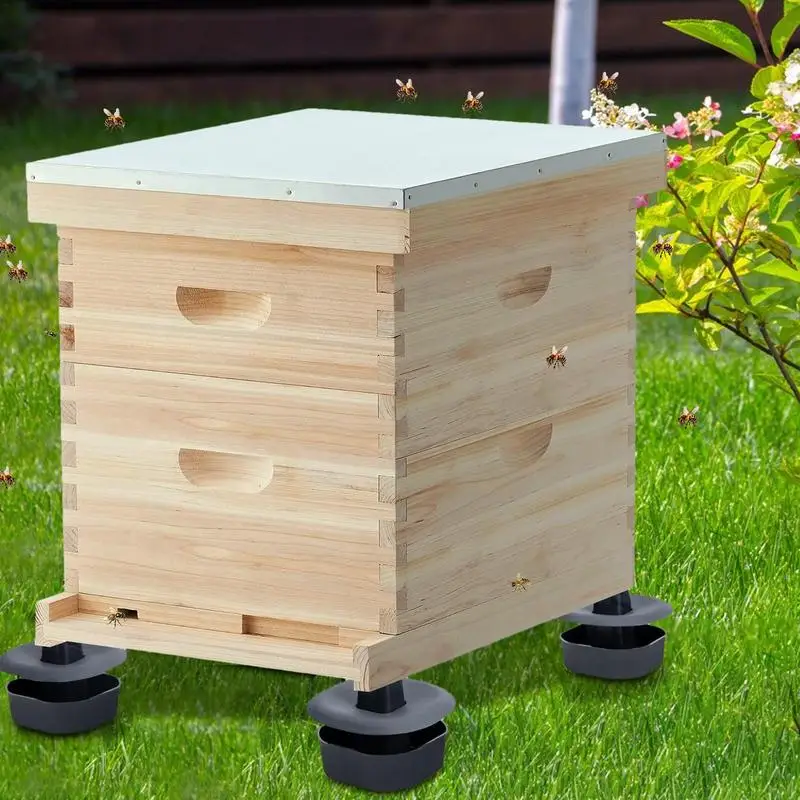 Outil professionnel de support de pieds de ruche, support d'apiculture en plein air, base coordonnante à haute résistance, support rapide domestique