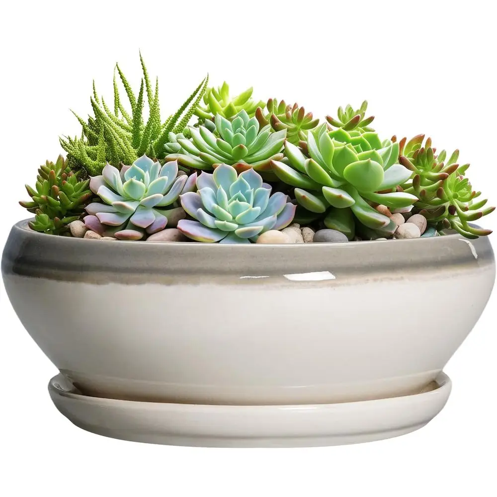 

12 Inch Large Round Succulent Planters with Drainage and Saucer, Ideal for Indoor and Outdoor Plants, Living Room Decor, Birthda
