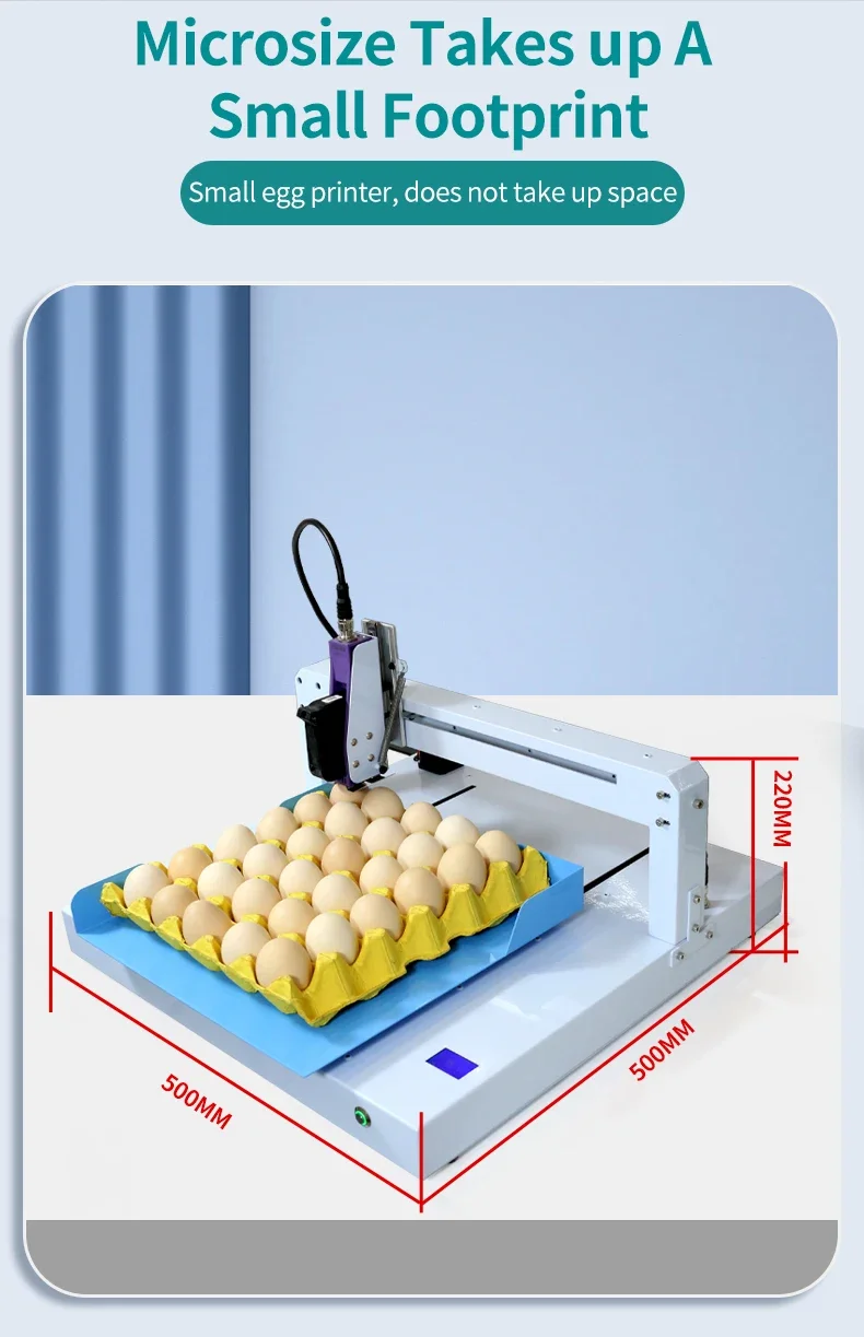 Hot Sale QMSTRAPACK Multi Languages Fully Automatic Dedicated Coding Machine Online Edible Inkjet Printer for Small