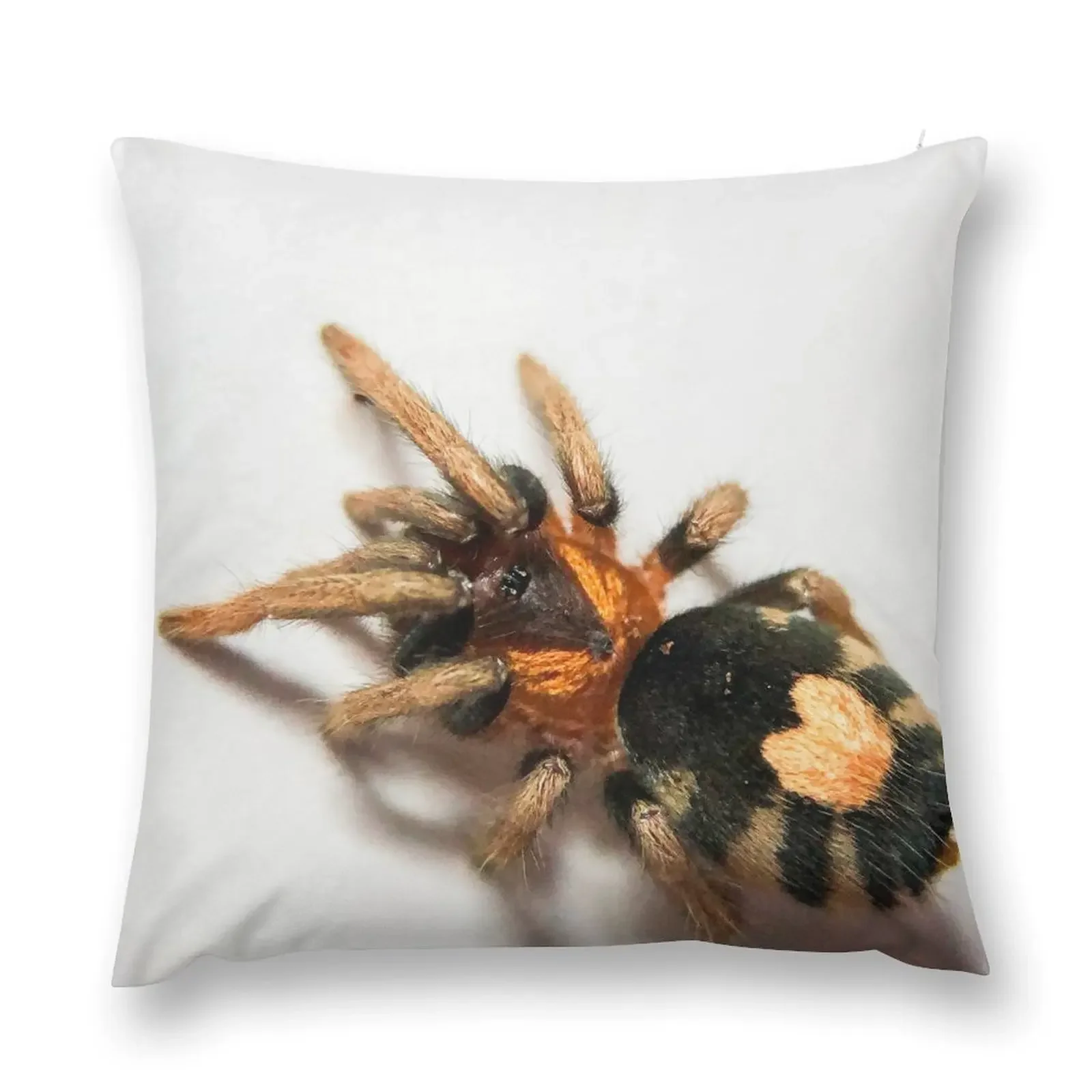 Cyriocosmus Elegans Tarantula Throw Pillow Couch Pillows pillows decor home Sofa Cover pillow