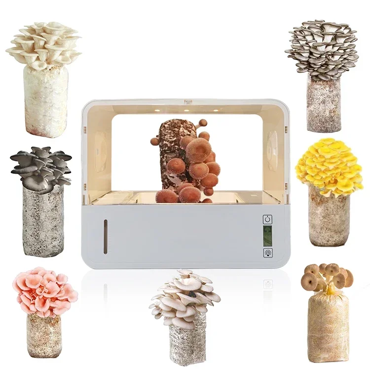 Flexible Easy To Carry Mushroom Grow Box Still Air Box For Mushroom Grow Kit