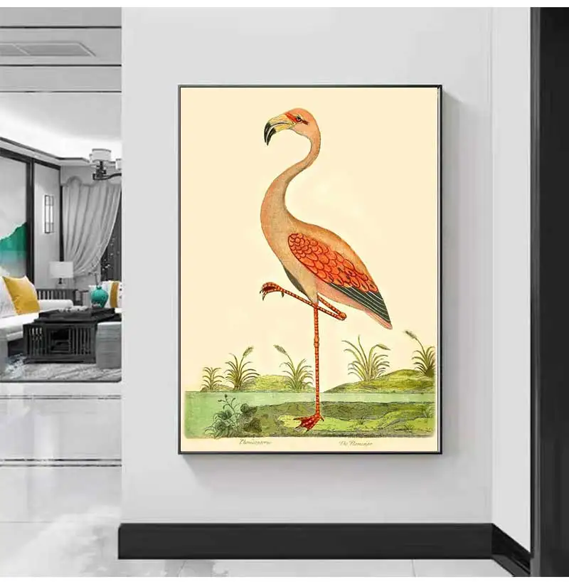 Vintage Bird Prints Flamingo Poster Wall Art Nature Animal Lover Gift Home Room Tropical Decoration Canvas Painting