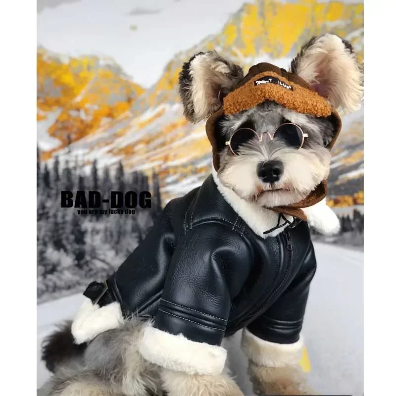 Winter Dog Clothes Thickened Pet Jacket Black Coat for Small Dogs Teddy Schnauzer Pomeranian Black Leather Pug Costume PC2504