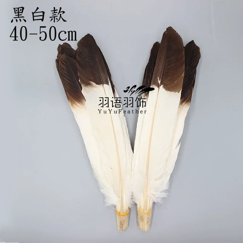 1 pz Rare Eagle Feather Bow and Arrow Feather Rare Horse Eagle Feather artigianato campione piuma piume naturali