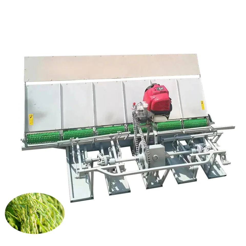 Factory Supply Walking Behind Rice Transplanter Agricultural Paddy Rice Seed Planting Transplanter for Sale