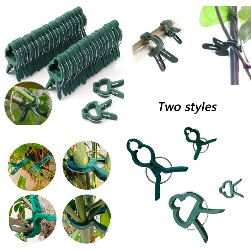 200Pcs Plant Fixed Clips Greenhouse Bracket Reusable Garden Supplies For Fixing Stem Of Potted Flower Seedling Tomatoes Fastener