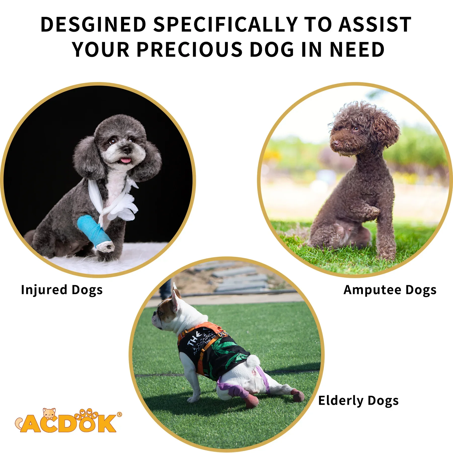 Dog Support Harness Lift Harness Rehabilitation Sling Padded Breathable Straps for Old Disabled Joint Injuries Arthritis