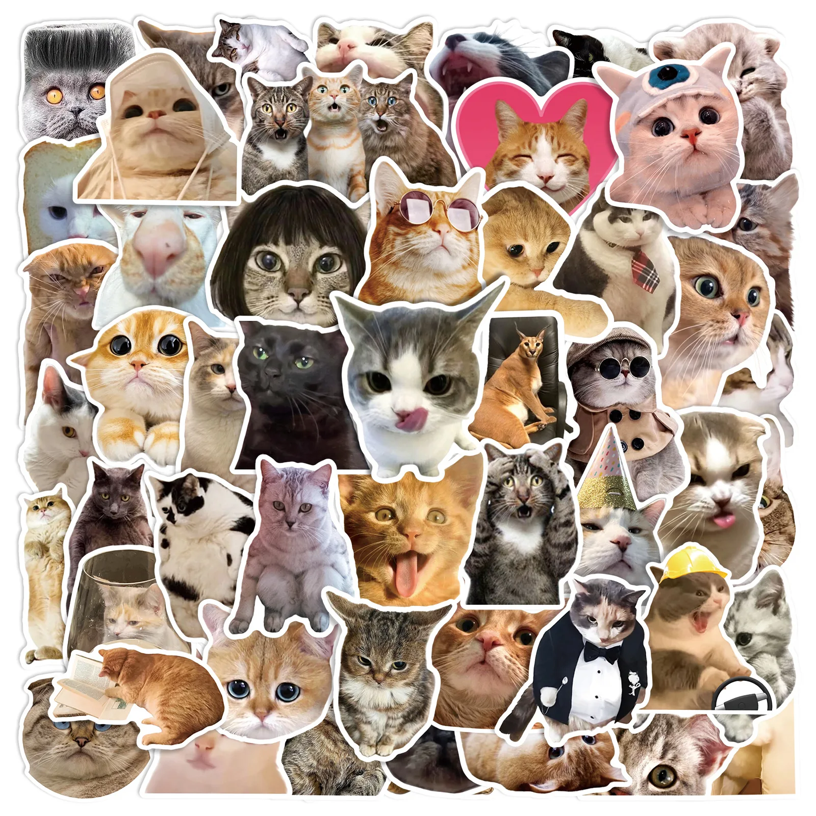 50 Stück Niedliche Cartoon Lustige Katzen-Meme-Aufkleber DIY Laptop Notebook Kühlschrank Gitarre Handy Wasserfeste Aufkleber