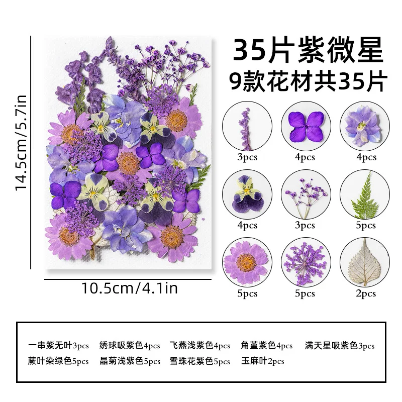 35Pcs10 Set of Dried Flowers and Pressed Real Natural Flower Leaves for Resin Jewelry Mold Filling, Phone Case Making, Decoration, and Scented Candles view 6