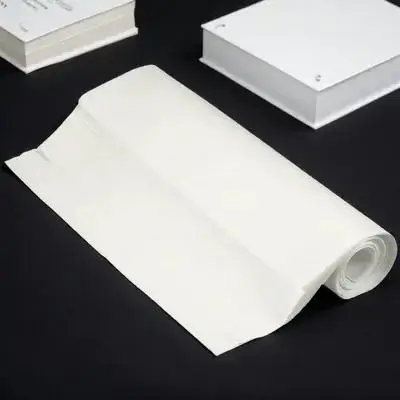 

Xuan For Chinese Calligraphy Painting Practice Rice Paper Ink Absorbent Natural Fiber Sumi Drawing Paper Art Supplies