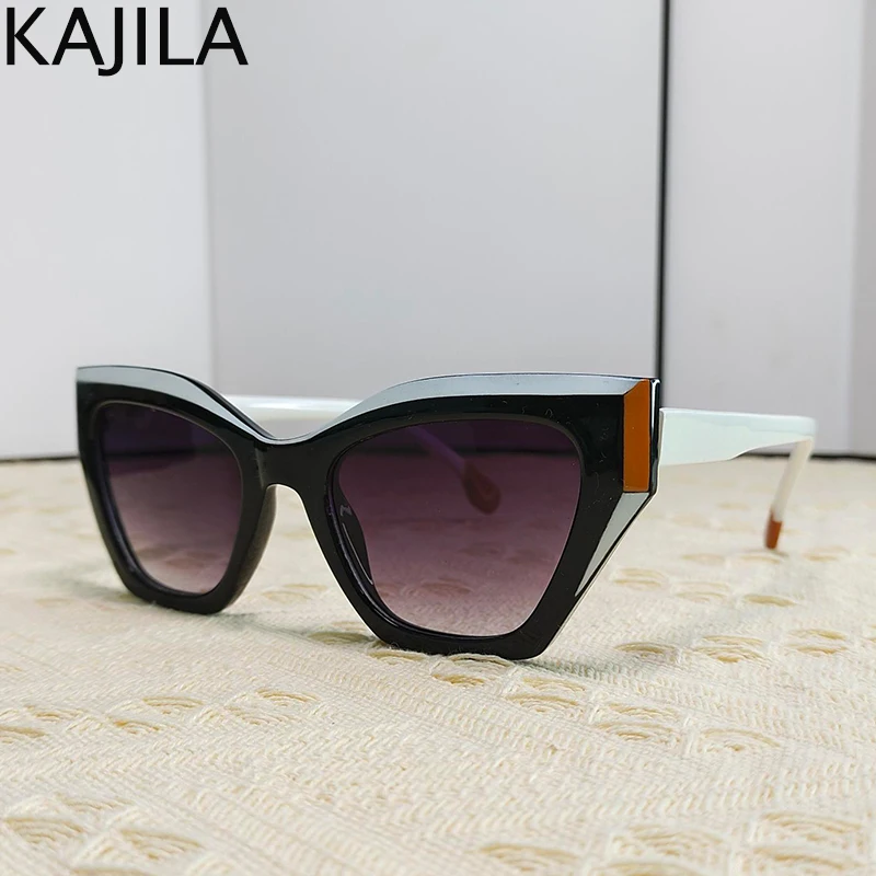 Sexy Cat Eye Punk Sunglasses Women 2025 Luxury Brand Designer Vintage Cateye Sun Glasses For Ladies Leopard Eyewear Shades UV400 image 5