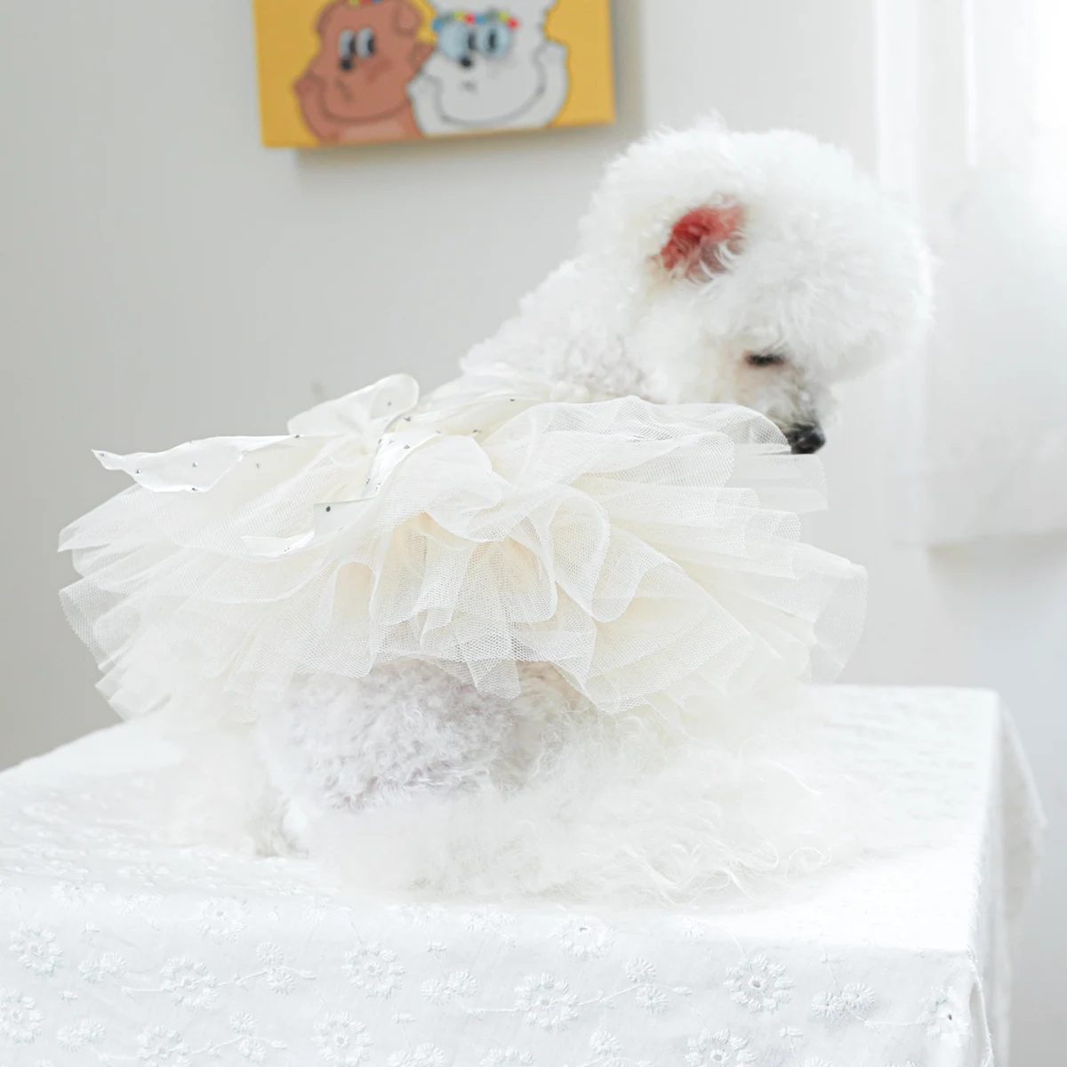 1PC Pet Clothing Cat Spring/Summer Thin White Floral Elf Wedding Dress Princess Dress Suitable for Small and Medium Dogs