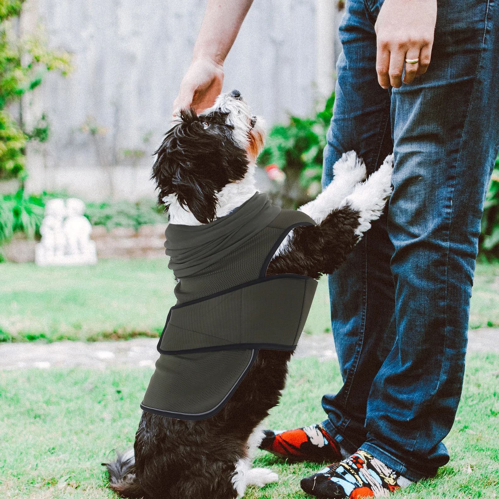 

Dog Anxiety Vest Hoodie Size M Pet Calming Coat Thunderstorm Travel Vet Visit Anxiety Relief Jacket Dog Hoodie