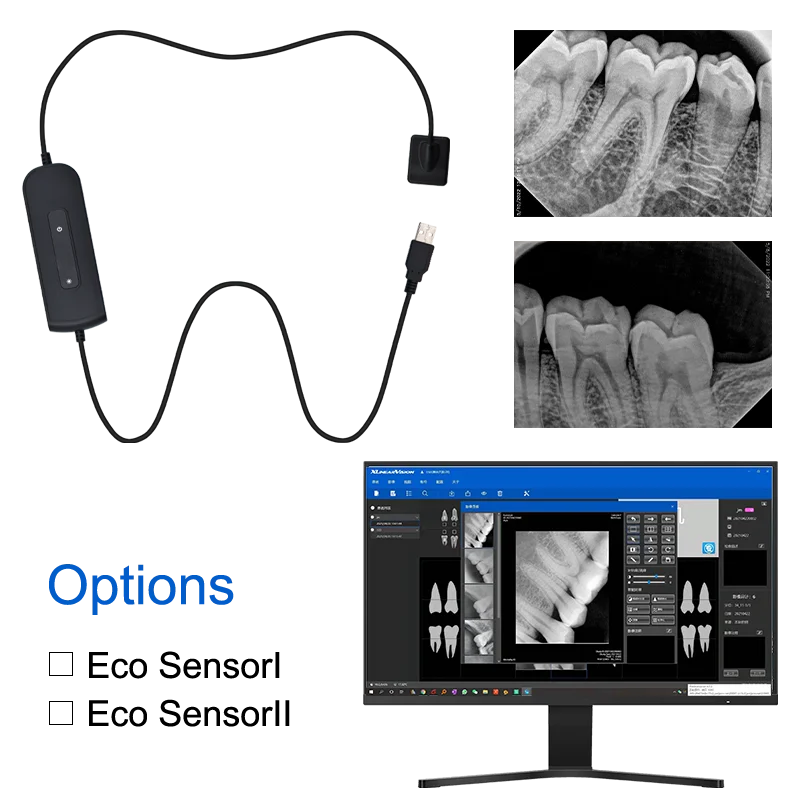 HOT RVG Dental Sensor With Holder Faster/Recycle/Durable USB Dental X Ray Sensor Intra Oral Camera Digital RVG Sensor