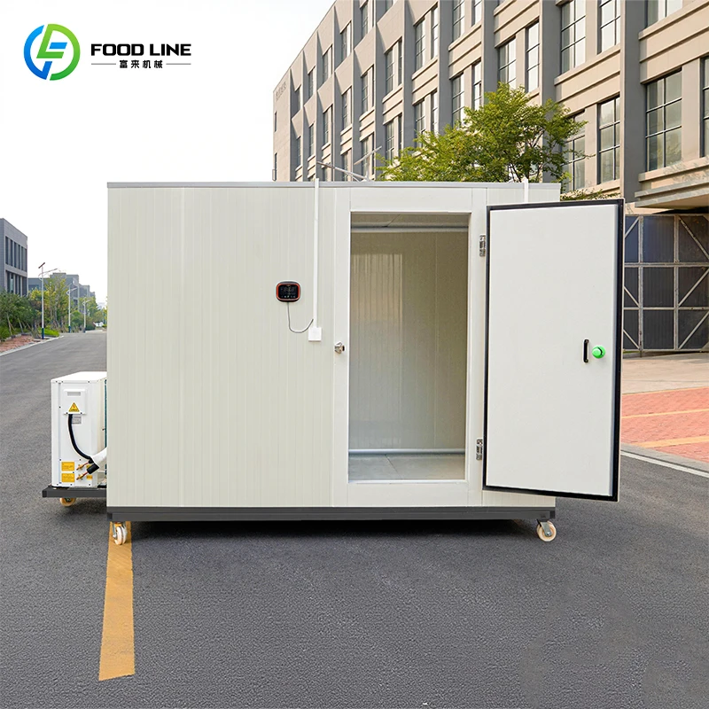 Custom Industrial Cold Room Storage Fish Shelf Deep Freezer and Freezer for Cold Storage Commercial
