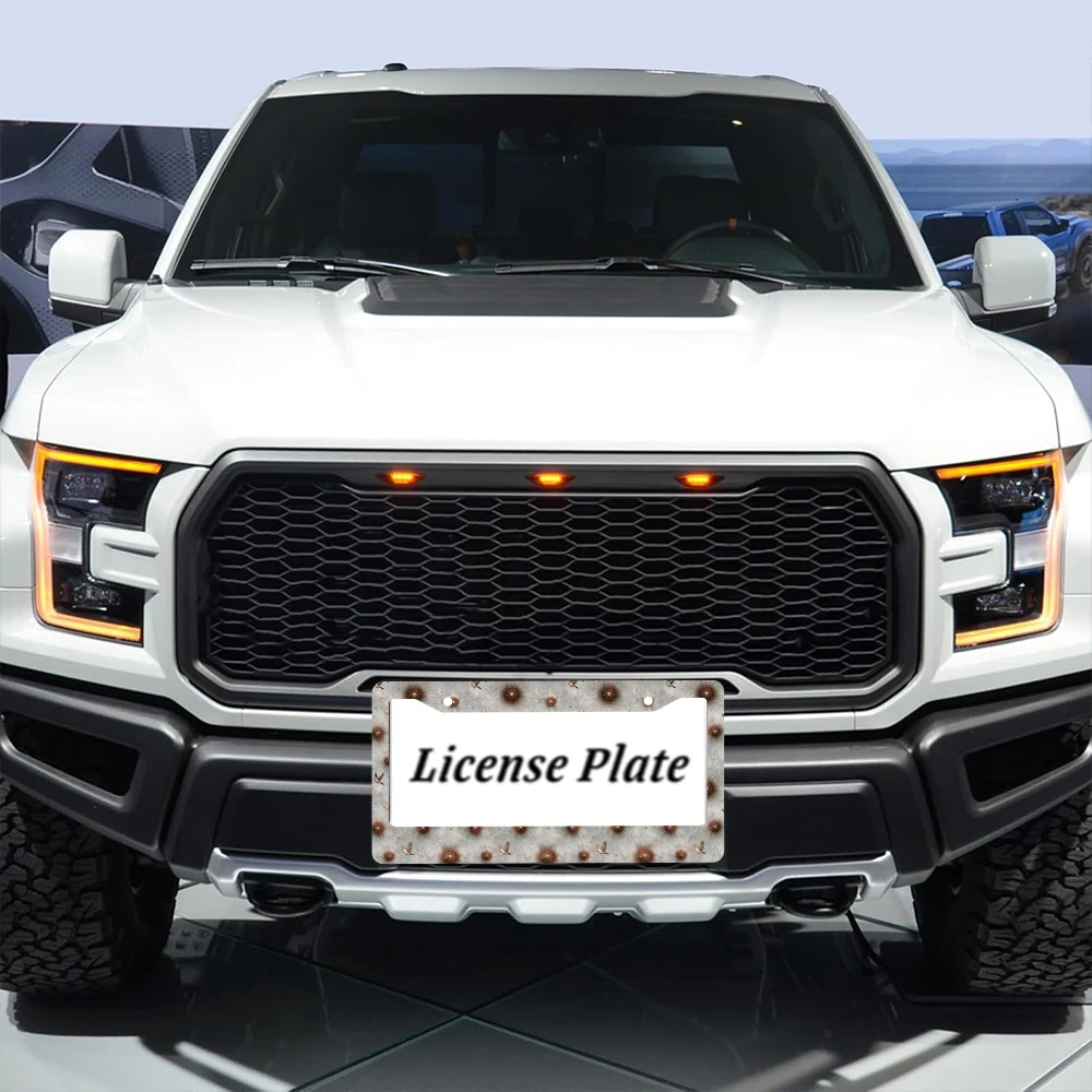 1 قطعة نمط الطيور البني الرجعية 2 حفرة إطار لوحة الترخيص ، مادة الألومنيوم ، 6x12 بوصة ، مع مجموعة المسمار ، ديكور سيارة عتيقة