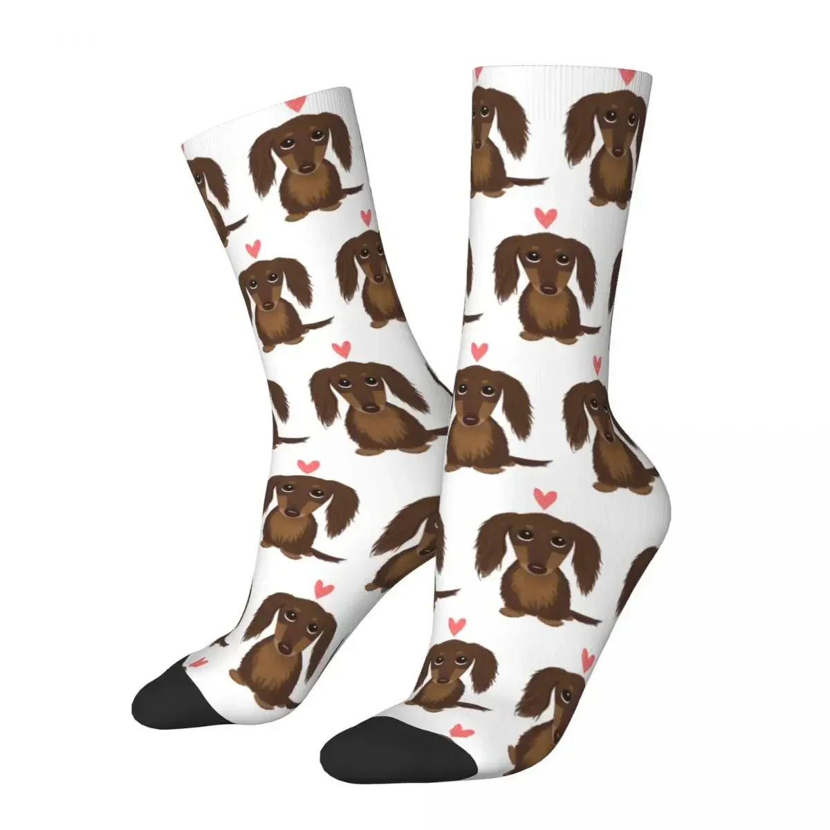 Cute Dog Longhaired Chocolate Dachshund Wiener Dog With Heart Socks Harajuku Super Soft Stockings All Season Long Socks