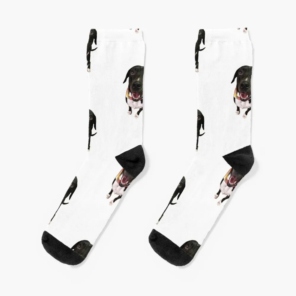 

Annie1 Socks man FASHION Men's aesthetic Socks For Men Women's