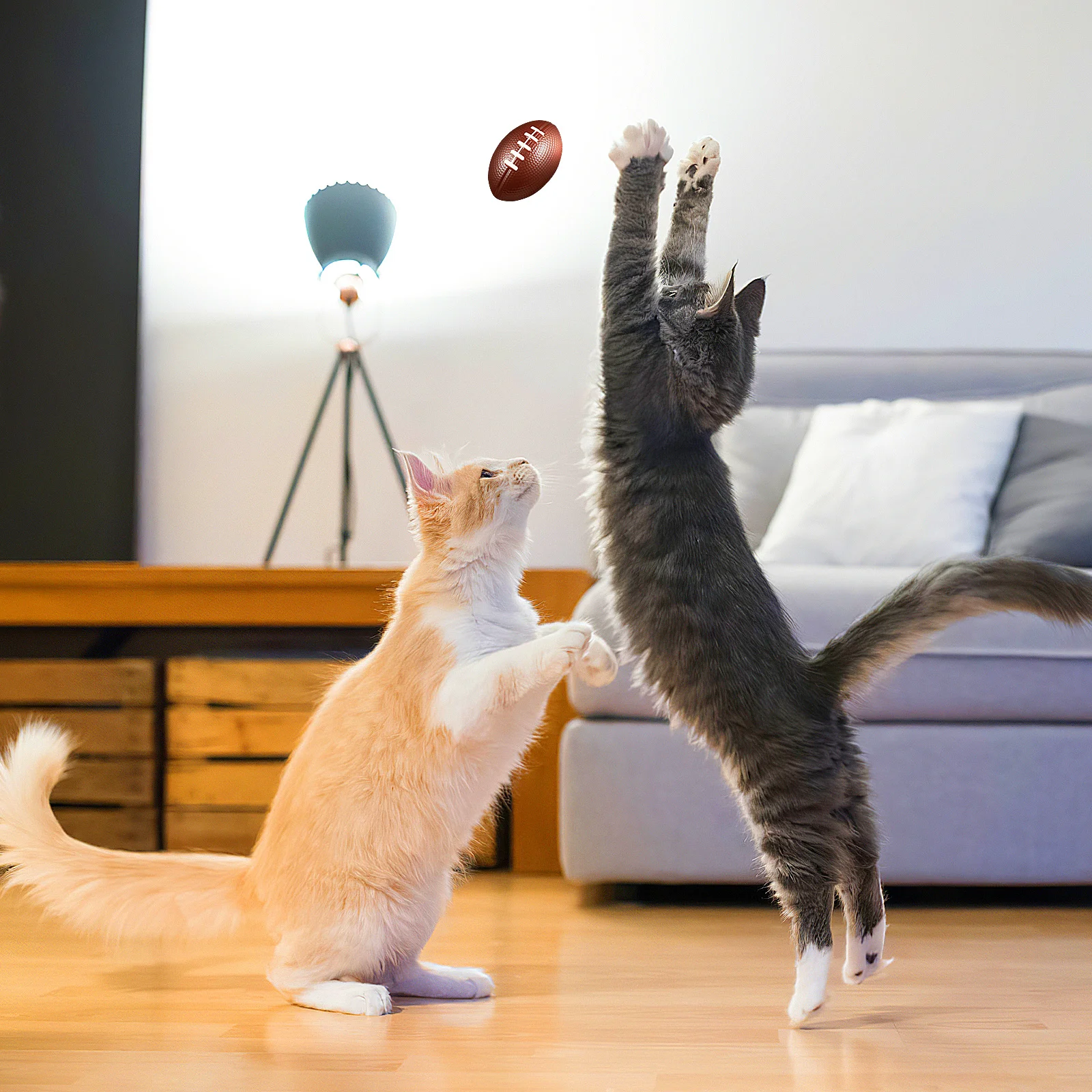 

3pcs Stress Relief Squeeze Balls Mini Sports Balls For Kids Party Favor Anxiety Relief Autism Sensory Fidget Tool