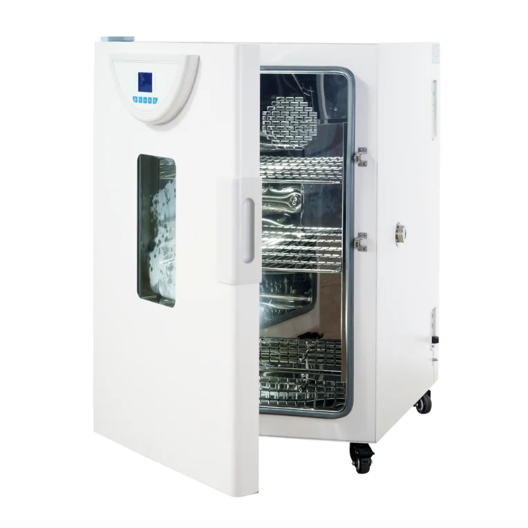 LCD with Multi-segment Program Precision Laboratory Equipment Thermostatic Laboratory Microbiology Bacteria