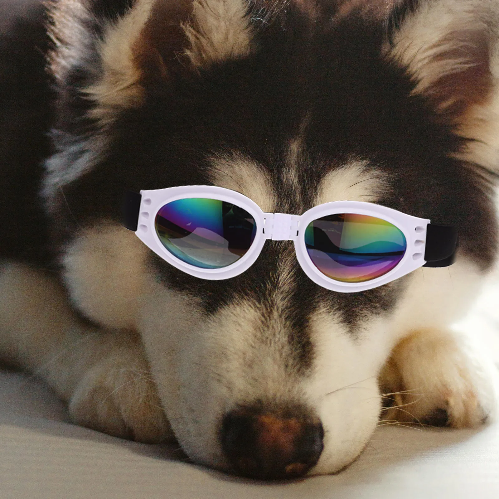 

Foldable Dog Sunglasses Protective Goggles UV Small Animals Adjustable Straps Sunscreen Eyewear Accessories Fashionable