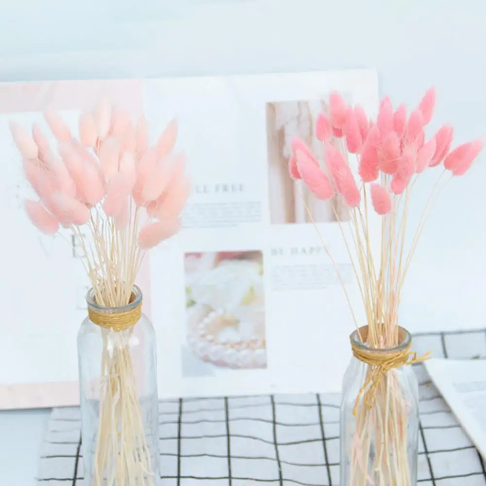 

1 Set Beautiful Dried Flower Bouquet Long Lasting Bunny Tail Grass Romantic Natural Flower Party Home DIY Wide Application