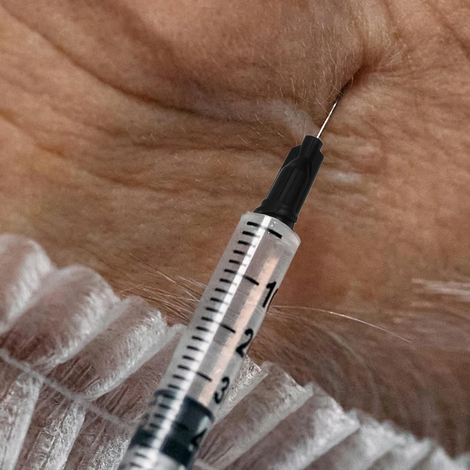 

100 Pcs Syringe Sealing Cap Luer Lock Precision Applicator Caps Dispensing Replacement Needle Bottle Nozzle