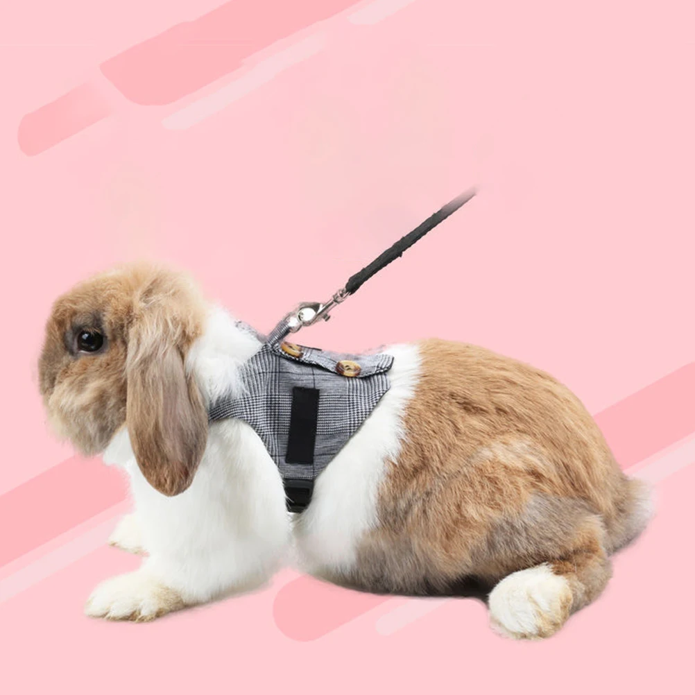 

1 set Cotton Polyester Small Pet and Leash Set Adjustable Costume Pulling Rope Soft Comfortable Lightweight Safety
