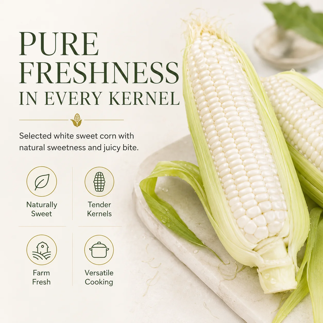 Food - Grocery - Snacks, chips, crackers - Corn Sticks