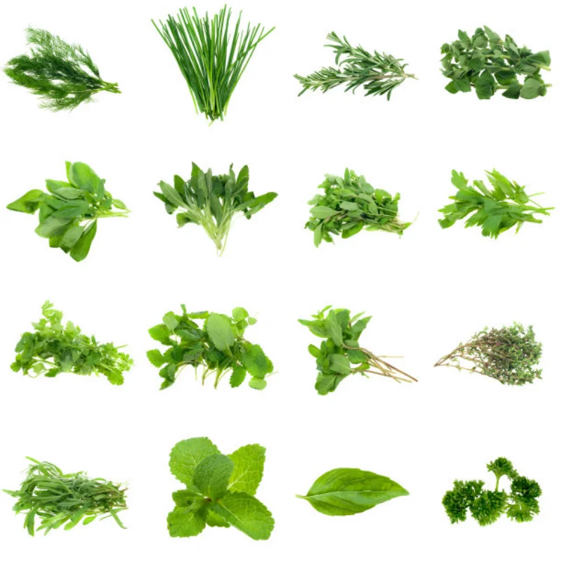 

75mm Upgrade Large Tires for 1/10 1/14 WLtoys 144010 144001 124017 Off-Road RC Car Upgrade Spare Accessories Widening Wheels