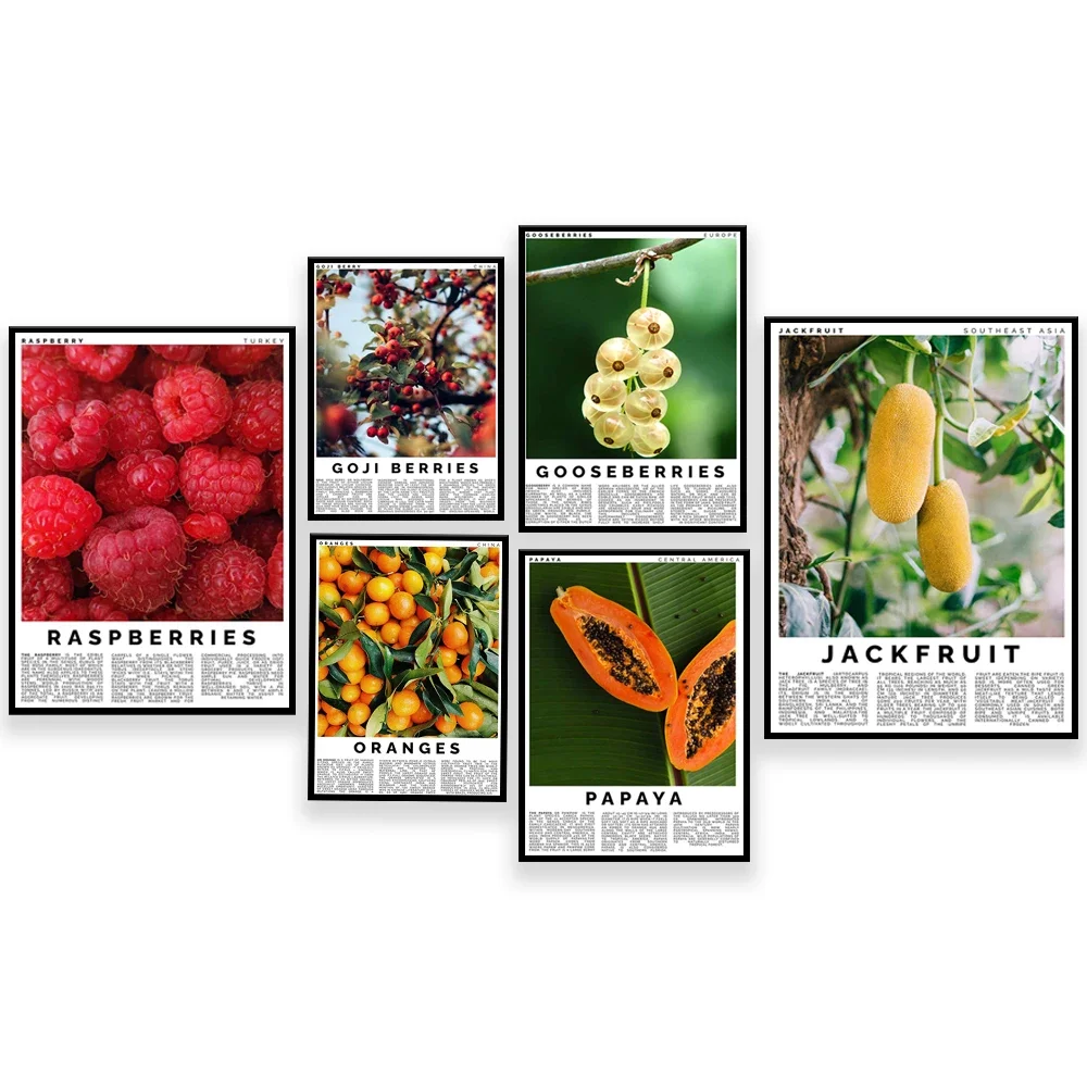 Jackfruit, gooseberry, arándano, frambuesa, guarana, arándano, fresa, papaya, naranja, cartel de fruta de morera, arte de cocina