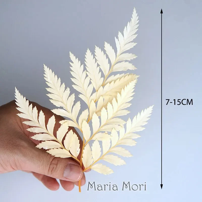 10 pcs/Natural Plant Ferns Handmade DIY Material Decor Fern Plant Ferns Plover Grass for Decor for Scented Candles Epoxy