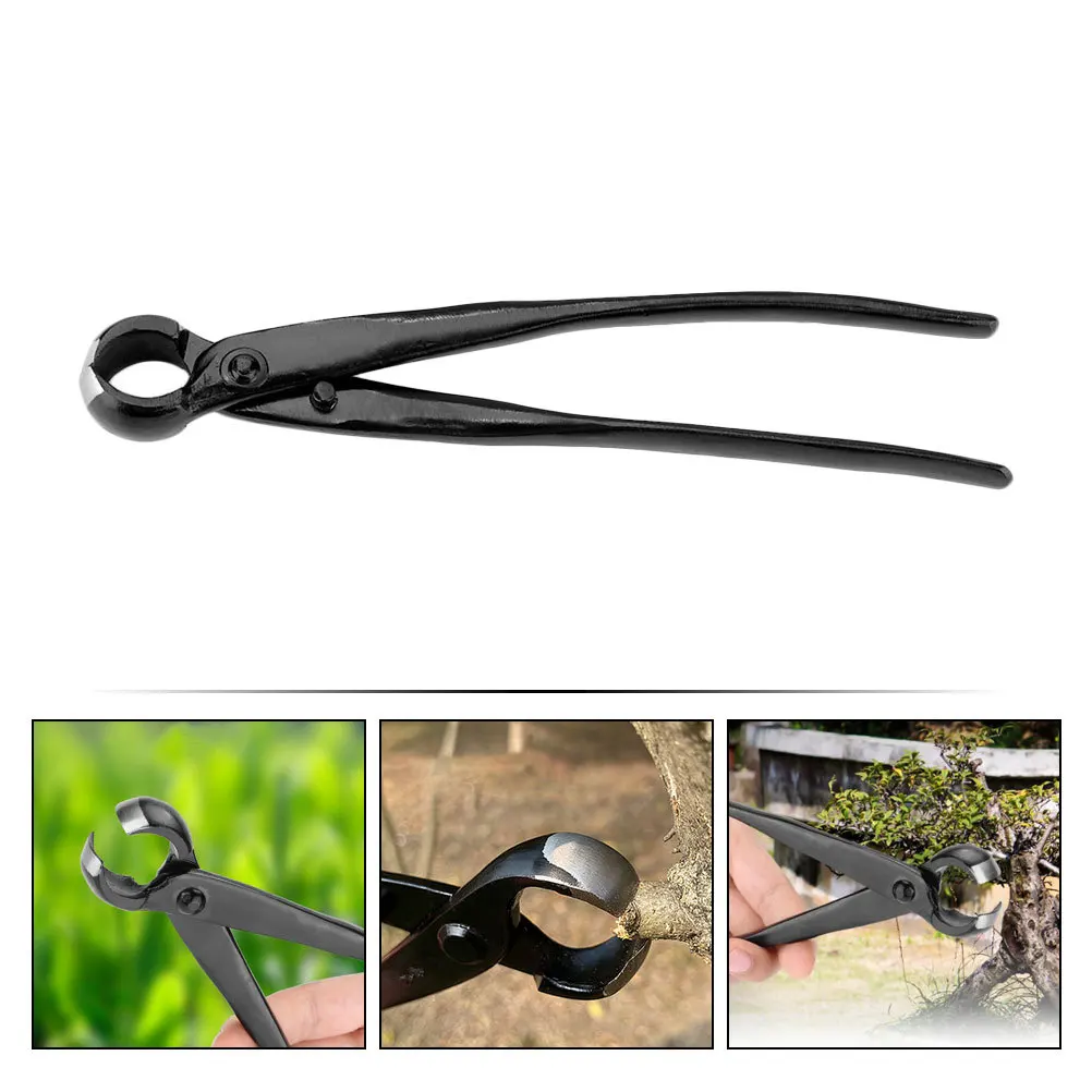 شجرة تشذيب القص حواف مقعرة دائرية عالية الكربون الصلب بونساي مقبض القاطع حديقة فرع عقدة القاطع للشجيرات #1