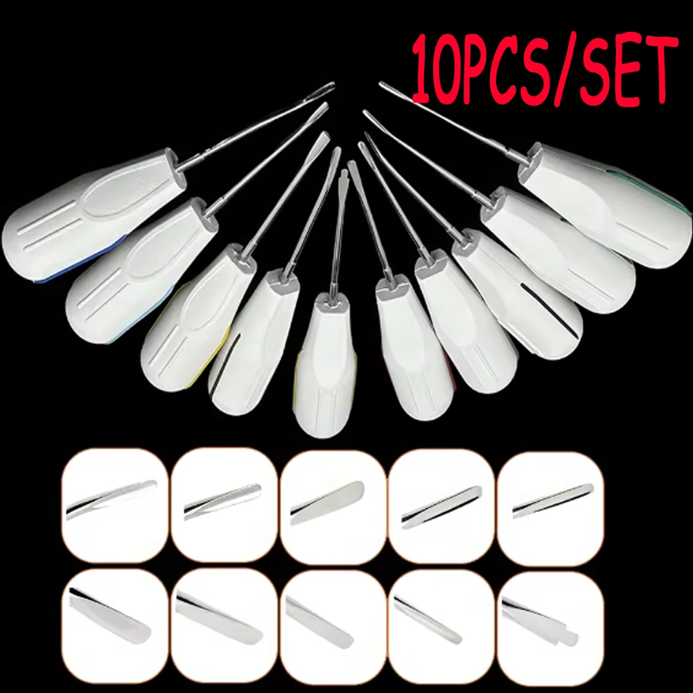 

10Pcs Dental Luxating Lift Curved Root Elevator Kit for Surgical Minimally Invasive Tooth Extraction Dentistry Tools Set