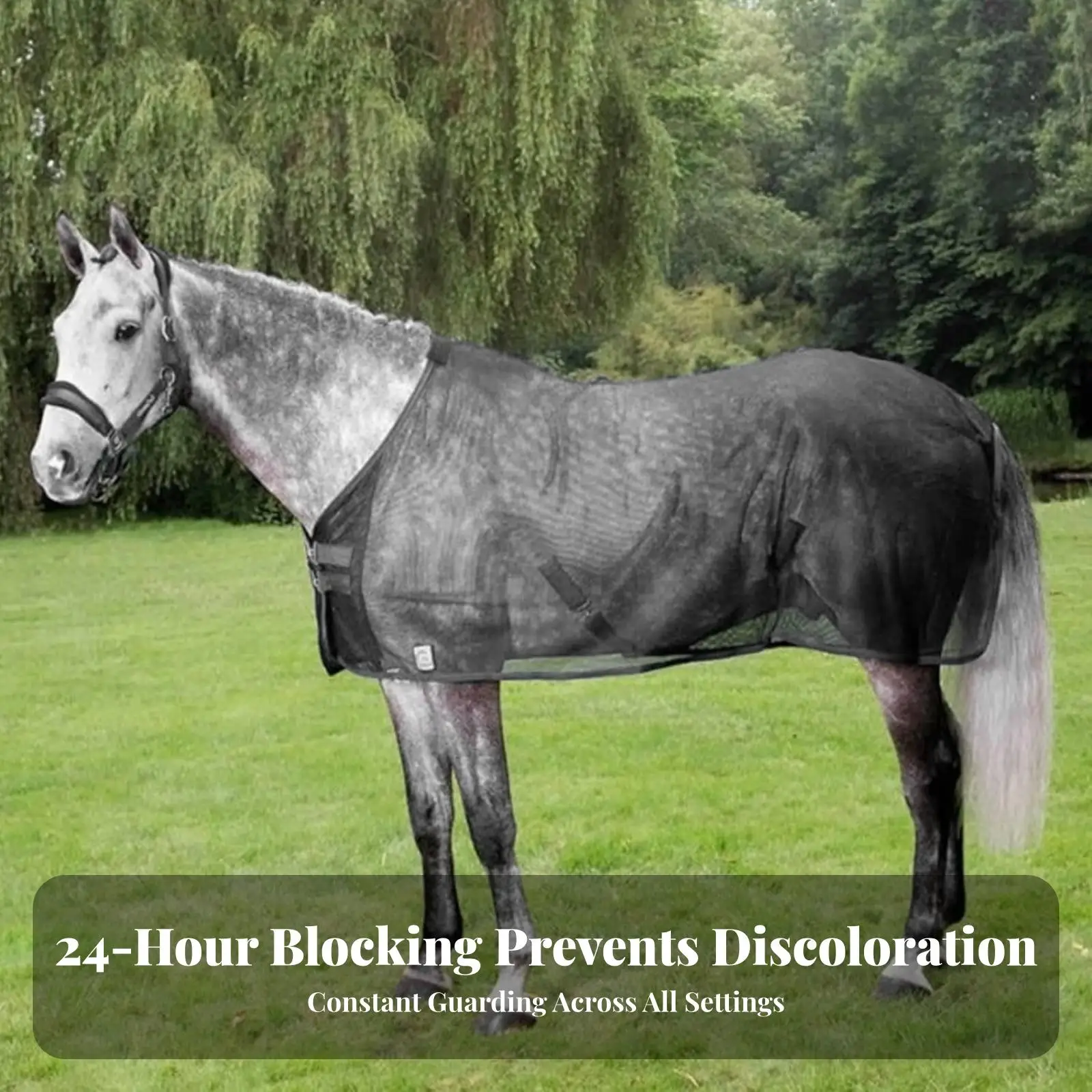 Black Nylon Horse Fly Net Rug for Summer with Full Coverage Mesh Body and Reliable Belly Strap Fastening