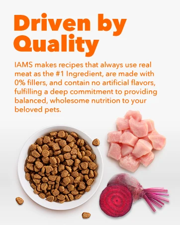 iams cat