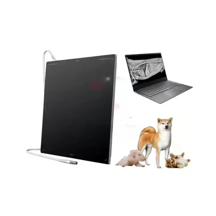 Veterinary Dr Flat …